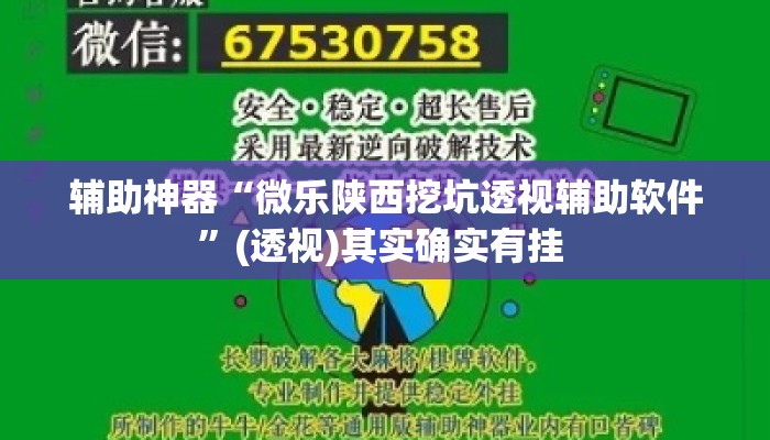 辅助神器“微乐陕西挖坑透视辅助软件”(透视)其实确实有挂 