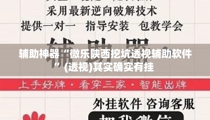 辅助神器“微乐陕西挖坑透视辅助软件	”(透视)其实确实有挂 