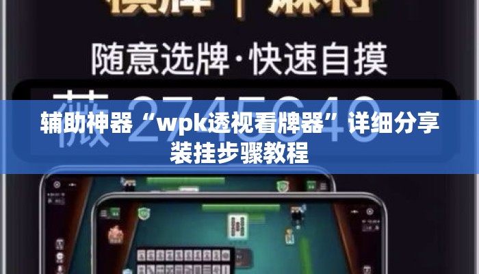 辅助神器“wpk透视看牌器”详细分享装挂步骤教程