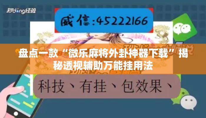 盘点一款“微乐麻将外卦神器下载	”揭秘透视辅助万能挂用法