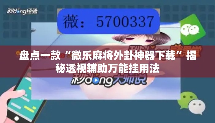 盘点一款“微乐麻将外卦神器下载	”揭秘透视辅助万能挂用法