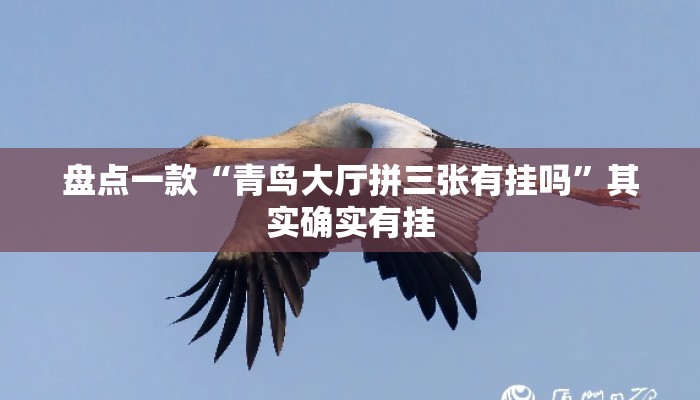 盘点一款“青鸟大厅拼三张有挂吗”其实确实有挂