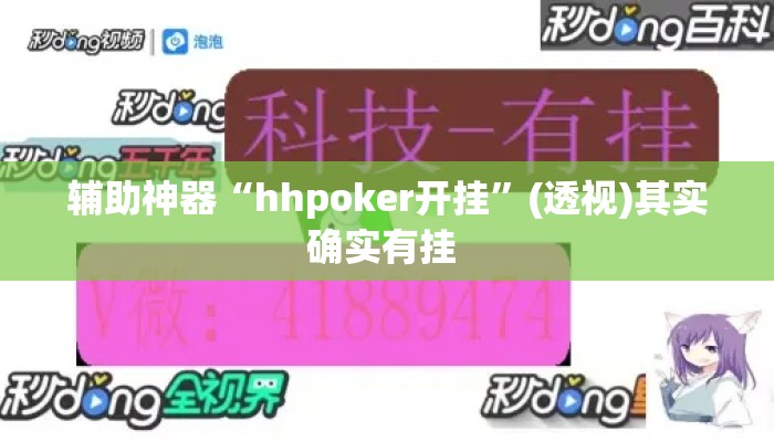 辅助神器“hhpoker开挂”(透视)其实确实有挂 