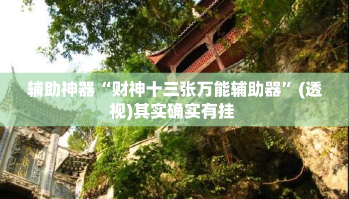 辅助神器“财神十三张万能辅助器”(透视)其实确实有挂 