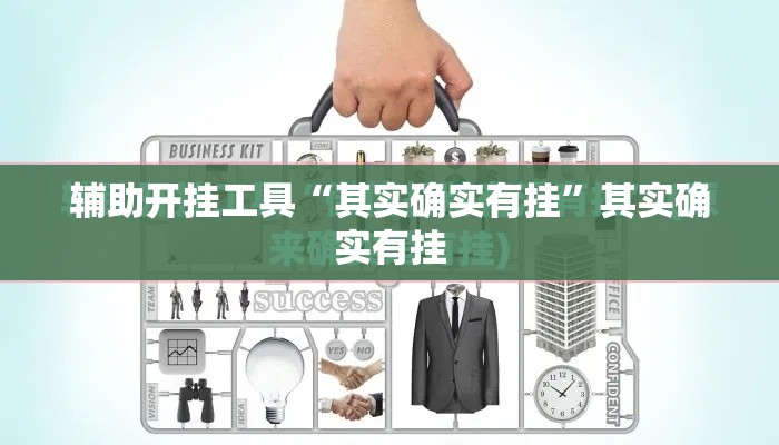 辅助开挂工具“其实确实有挂”其实确实有挂