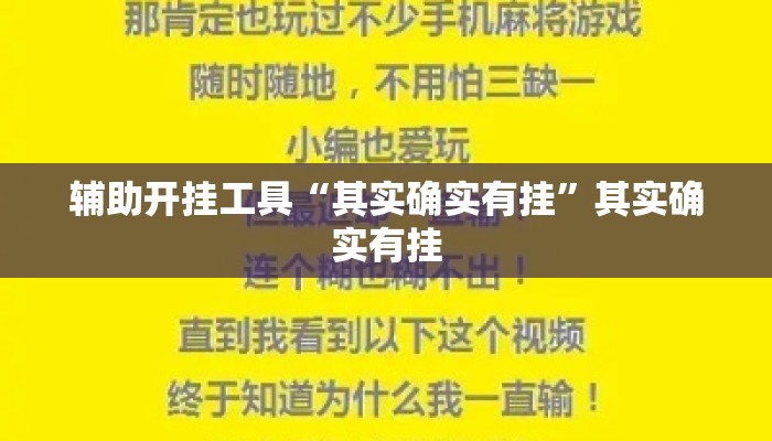 辅助开挂工具“其实确实有挂”其实确实有挂