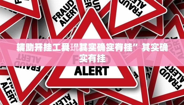 辅助开挂工具“其实确实有挂”其实确实有挂