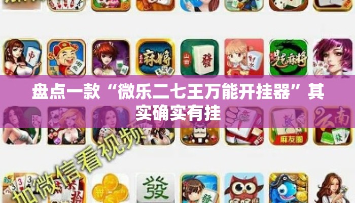 盘点一款“微乐二七王万能开挂器”其实确实有挂