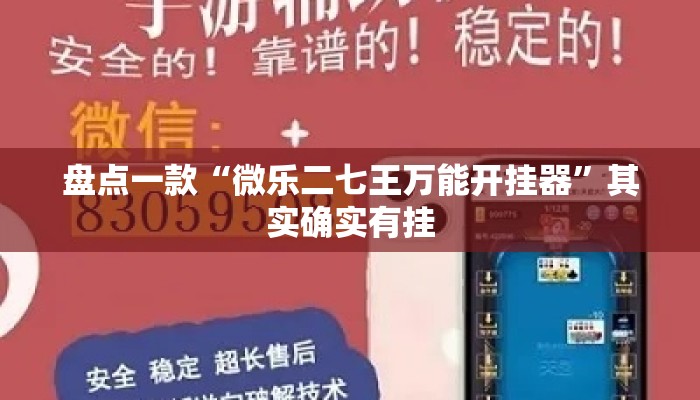盘点一款“微乐二七王万能开挂器”其实确实有挂