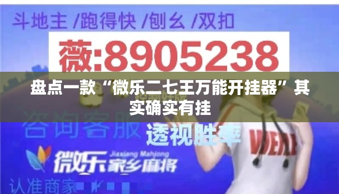 盘点一款“微乐二七王万能开挂器”其实确实有挂