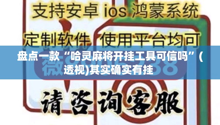 盘点一款“哈灵麻将开挂工具可信吗	”(透视)其实确实有挂 
