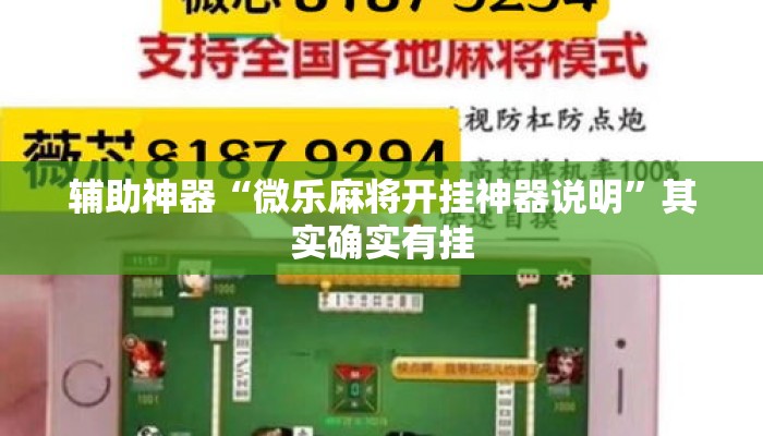 辅助神器“微乐麻将开挂神器说明	”其实确实有挂