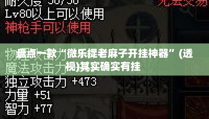 盘点一款“微乐捉老麻子开挂神器”(透视)其实确实有挂 