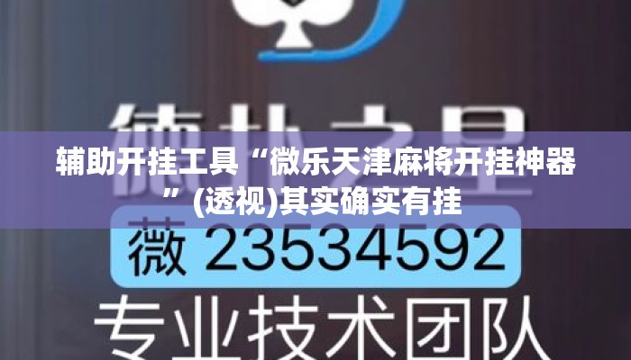 辅助开挂工具“微乐天津麻将开挂神器”(透视)其实确实有挂 