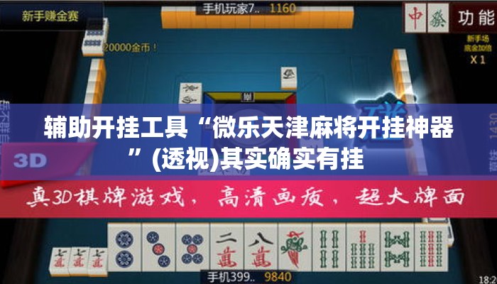 辅助开挂工具“微乐天津麻将开挂神器”(透视)其实确实有挂 