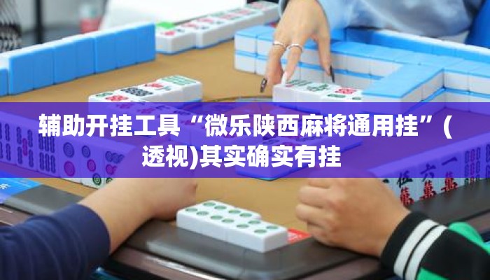 辅助开挂工具“微乐陕西麻将通用挂”(透视)其实确实有挂 