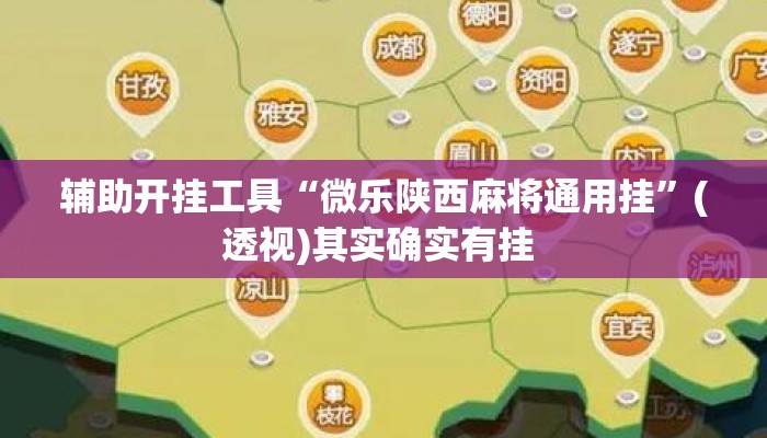 辅助开挂工具“微乐陕西麻将通用挂	”(透视)其实确实有挂 