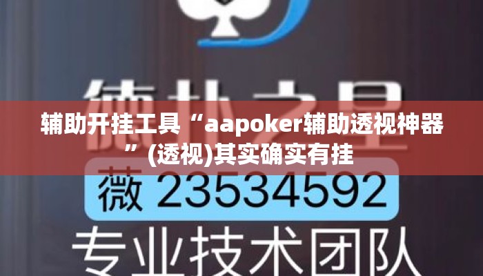 辅助开挂工具“aapoker辅助透视神器”(透视)其实确实有挂 