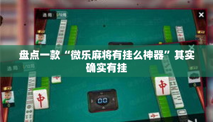 盘点一款“微乐麻将有挂么神器”其实确实有挂
