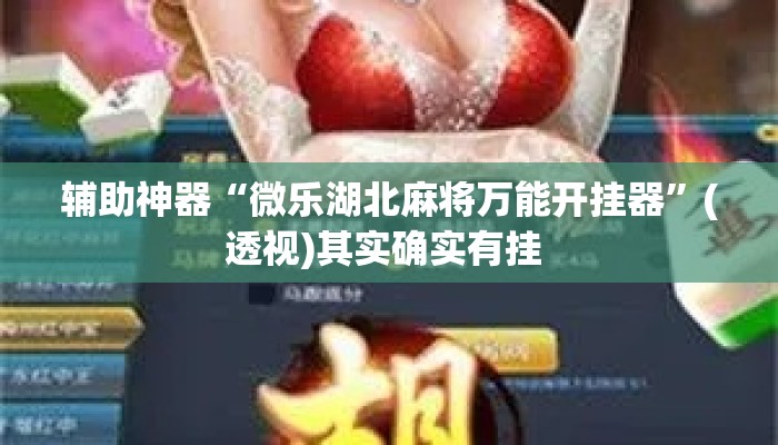 辅助神器“微乐湖北麻将万能开挂器	”(透视)其实确实有挂 