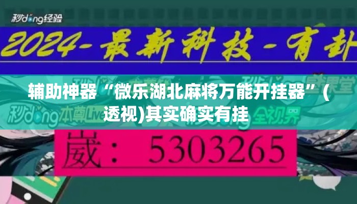 辅助神器“微乐湖北麻将万能开挂器”(透视)其实确实有挂 