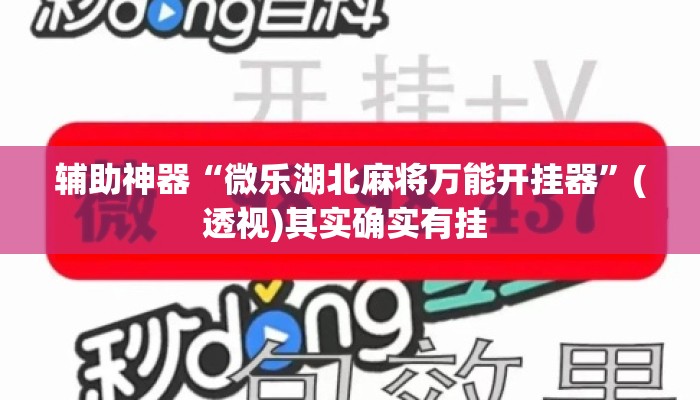 辅助神器“微乐湖北麻将万能开挂器”(透视)其实确实有挂 