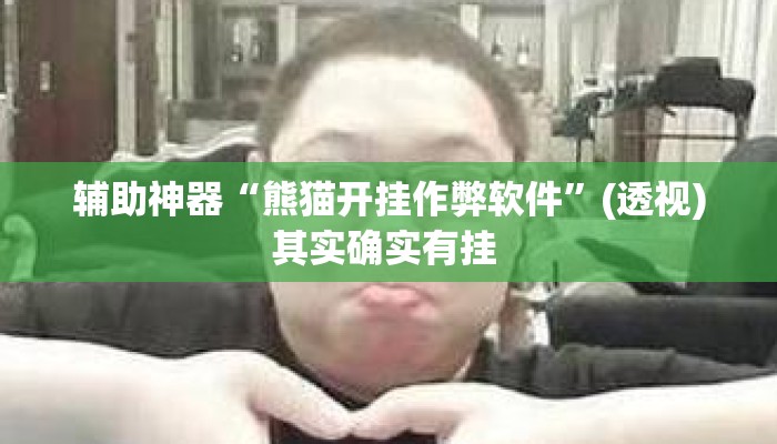 辅助神器“熊猫开挂作弊软件”(透视)其实确实有挂 