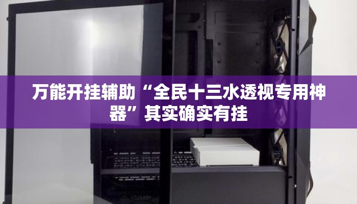万能开挂辅助“全民十三水透视专用神器	”其实确实有挂