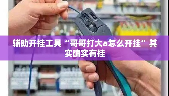 辅助开挂工具“哥哥打大a怎么开挂”其实确实有挂