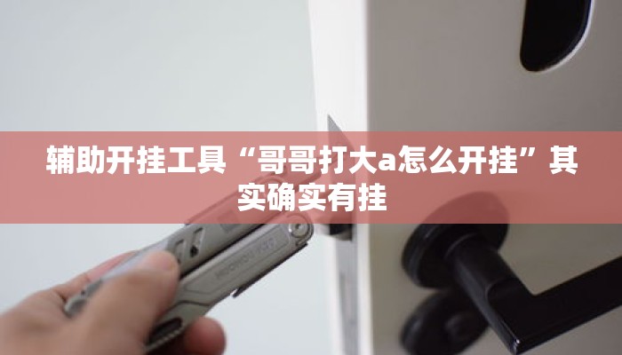 辅助开挂工具“哥哥打大a怎么开挂	”其实确实有挂