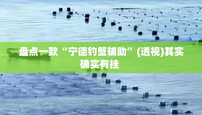 盘点一款“宁德钓蟹辅助”(透视)其实确实有挂 