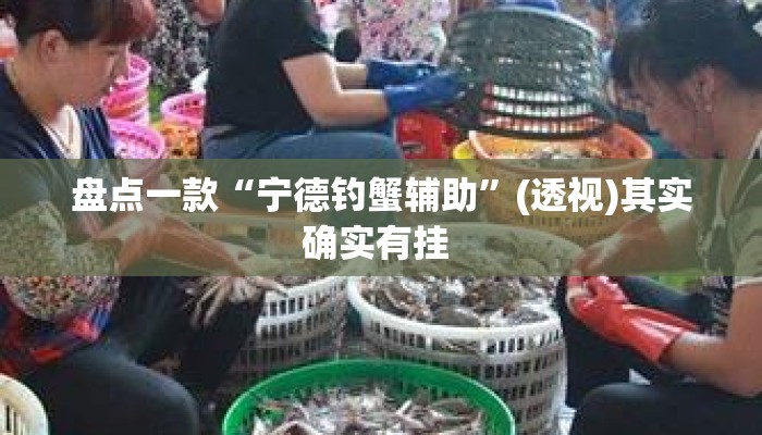 盘点一款“宁德钓蟹辅助”(透视)其实确实有挂 