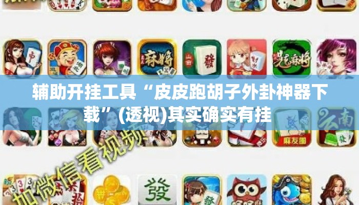 辅助开挂工具“皮皮跑胡子外卦神器下载”(透视)其实确实有挂 