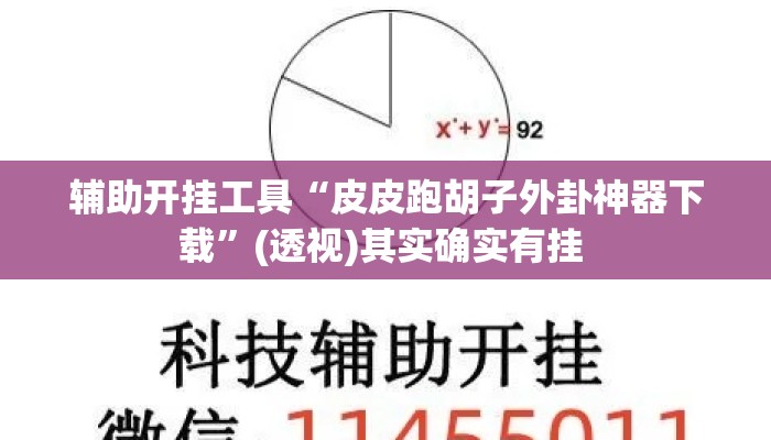 辅助开挂工具“皮皮跑胡子外卦神器下载”(透视)其实确实有挂 