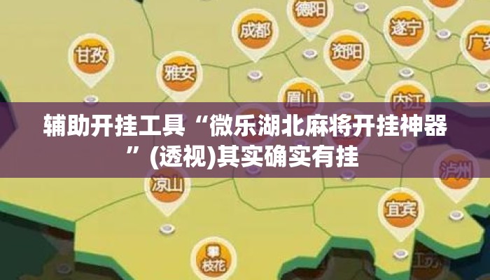 辅助开挂工具“微乐湖北麻将开挂神器”(透视)其实确实有挂 