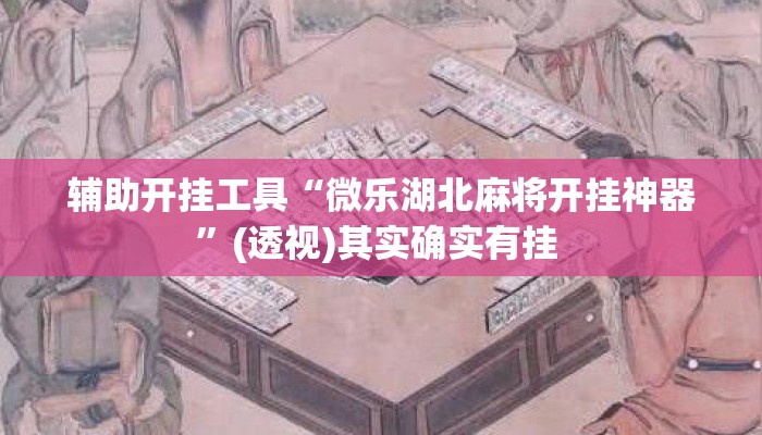 辅助开挂工具“微乐湖北麻将开挂神器”(透视)其实确实有挂 
