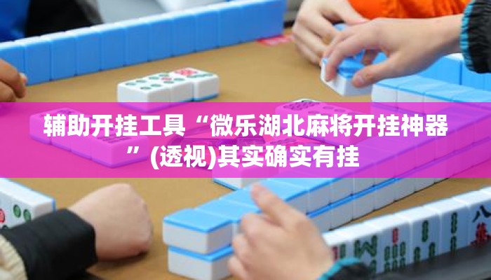 辅助开挂工具“微乐湖北麻将开挂神器”(透视)其实确实有挂 