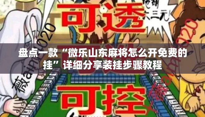 盘点一款“微乐山东麻将怎么开免费的挂	”详细分享装挂步骤教程