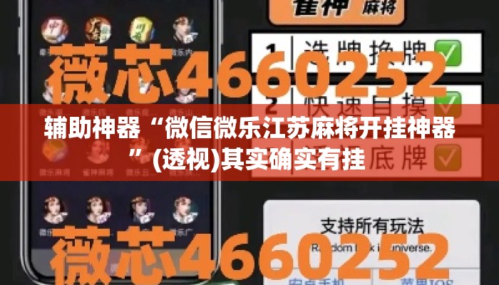 辅助神器“微信微乐江苏麻将开挂神器	”(透视)其实确实有挂 