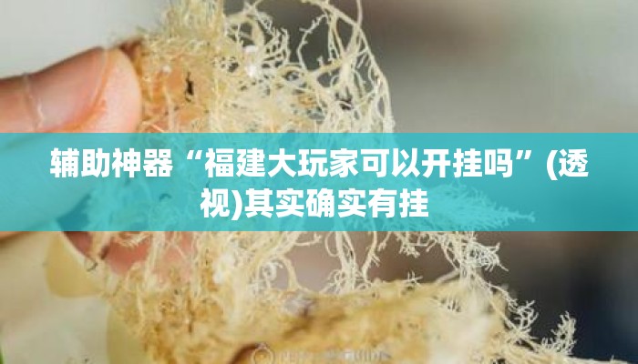 辅助神器“福建大玩家可以开挂吗	”(透视)其实确实有挂 