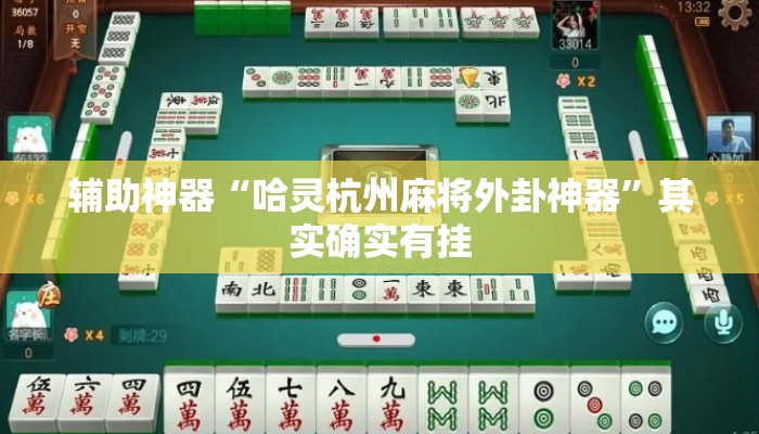 辅助神器“哈灵杭州麻将外卦神器	”其实确实有挂