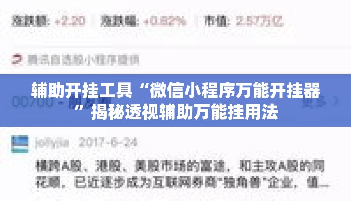 辅助开挂工具“微信小程序万能开挂器”揭秘透视辅助万能挂用法