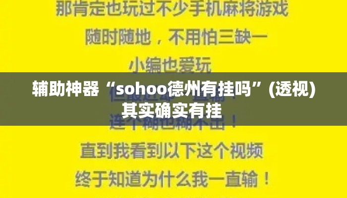 辅助神器“sohoo德州有挂吗”(透视)其实确实有挂 