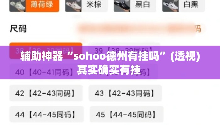 辅助神器“sohoo德州有挂吗”(透视)其实确实有挂 