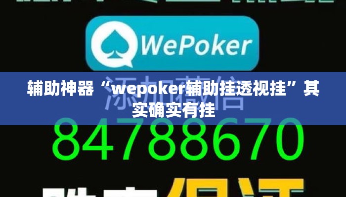 辅助神器“wepoker辅助挂透视挂	”其实确实有挂