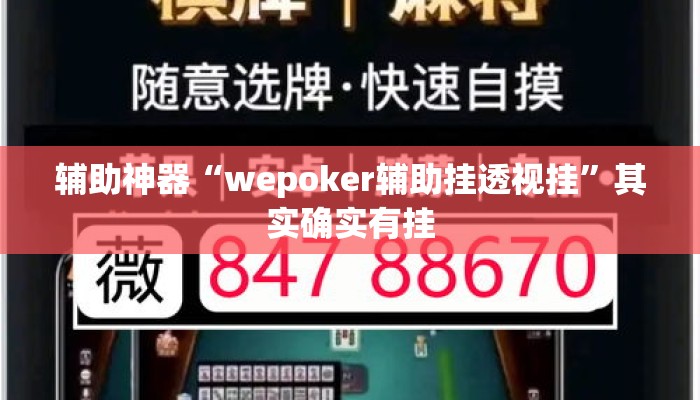 辅助神器“wepoker辅助挂透视挂	”其实确实有挂