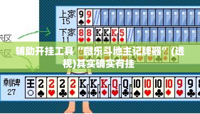 辅助开挂工具“微乐斗地主记牌器	”(透视)其实确实有挂 