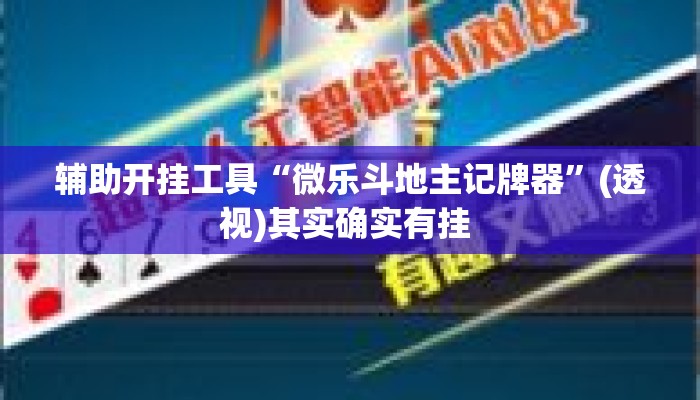 辅助开挂工具“微乐斗地主记牌器”(透视)其实确实有挂 