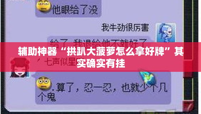 辅助神器“拱趴大菠萝怎么拿好牌”其实确实有挂