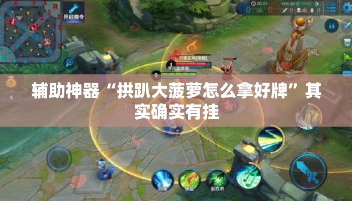 辅助神器“拱趴大菠萝怎么拿好牌”其实确实有挂